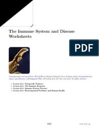 Ck 12 Biology Chapter 24 Worksheets Lymphocyte Immune System