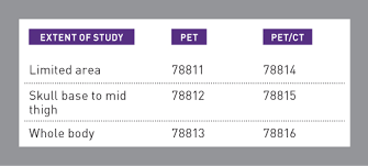 For cpt 2020, two new cpt category i codes will be available to report a duplex scan of arterial inflow and venous outflow for preoperative vessel assessment prior to creation of hemodialysis access. Taking Care Of Pet Pointers For Proper Pet And Pet Ct Coding Radiology Today Magazine