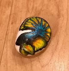 Mustard gas rose tail (betta town usa). Painted Rock Mustard Gas Betta Fish Album On Imgur