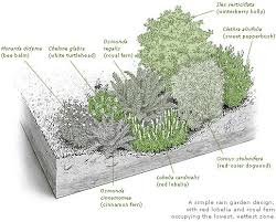 Blog Todd Haiman Landscape Design Rain Garden Design Rain Garden Garden Drawing