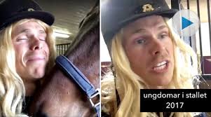 Annette startar ålderdomshem och fristad för hästar: ”Vill erbjuda ett  alternativ”