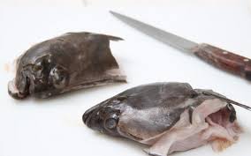 The tongue of a fish is formed from a fold in the floor of the mouth, according to an faq on the website of the australian museum. I Tskiexlgj5 M