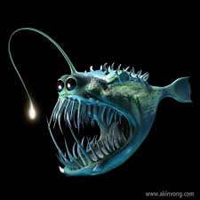 Pin By Kirsten Young On Art Deep Sea Creatures Sea Fish Ocean Creatures