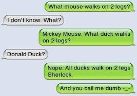 What Mouse Walks On 2 Legs Funny Texts Jokes Funny Text Memes Very Funny Texts