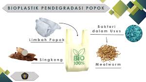 Bioplastik Singkong, Solusi Atasi Limbah Ramah Lingkungan » Prasetya UB