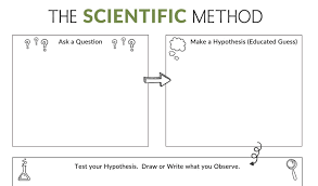 Scientific Method Flow Sheet Teaching Kids To Think