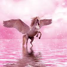 We've gathered more than 5 million images uploaded by our users and sorted them by the most popular ones. Royalty Free Unicorn Photos Free Download Pxfuel