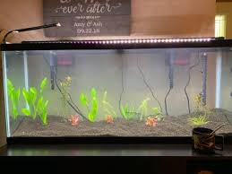 A 17.6 pound bag is about $37.00. Fluval Plant And Shrimp Stratum 17 6 Lbs Walmart Com Walmart Com