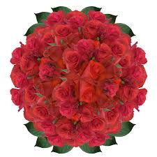 Manta has 10 businesses under fresh flowers in phoenix, az. Long Stem Red Roses Bulk Fresh Cut Roses Send Roses Online Globalrose