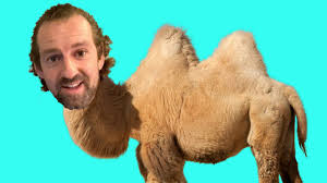 This information is for educational purposes only and is not intended to be a substitute for clinical care. Idiom The Straw That Broke The Camel S Back Youtube