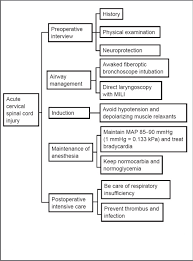 Anesthetic Considerations For Patients With Acute Cervical Spinal Cord Injury Abstract Europe Pmc