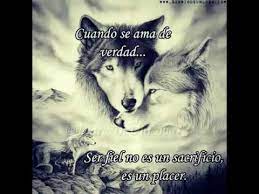 Check spelling or type a new query. Frases De Lobos Parte 2 Youtube