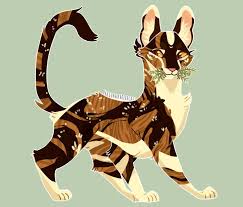 Spottedleaf Fanart By Dragonwarriorcat Deviantart Com On Deviantart Warrior Cats Fan Art Warrior Cats Warrior Cats Art