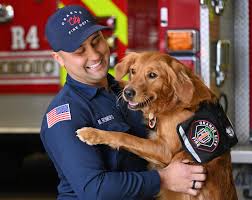 Firefighter Paramedic Mike Romero with Ember, a City of Orange Fire therapy  dog. (Photos by Steven Georges/Behind the Badge) “She's trained in love,”  said Firefighter Mike Romero, her owner and handler, who