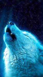 We hope you enjoy our growing collection of hd images to use as a. White Wolf Howling 8k Hd Mobile Smartphone And Pc Desktop Laptop Wallpaper 7680x4320 3840x2160 1920x1080 2 Wolf Wallpaper Wolf Spirit Animal Wolf Spirit