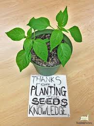 Teachers Thanks For Planting The Seeds Of Knowledge Diy Teacher Gifts Teacher Appreciation Gifts Teacher Gifts