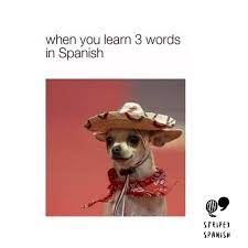 How To Learn Spanish Using Funny Memes Spanish Classes London Spanish Courses London Stripey Spanish