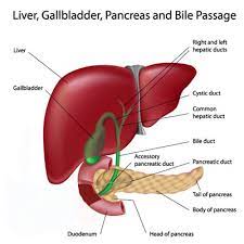 Maybe you would like to learn more about one of these? Gallbladder Diet Food Recipes John Douillard S Lifespa