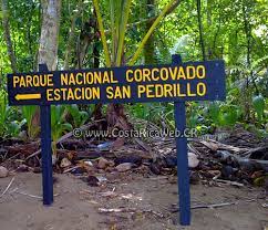 La station de garde forestier de san pedrillo est située à environ 30 minutes en bateau de la baie de drake. Corcovado National Park Costa Rica Phone Schedule How To Get There