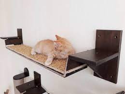 Dekorative Wandregale Fur Katzen Haus Dekoration Dekorative Wandregale Regal Katzenregale