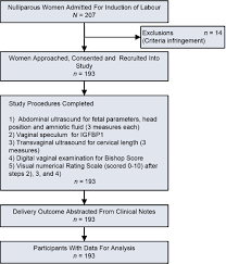 The bishop score is basically a readiness rating for your cervix. Insulin Like Growth Factor Binding Protein 1 Bishop Score And Sonographic Cervical Length Tolerability And Prediction Of Vaginal Birth And Vaginal Birth Within 24 Hours Following Labour Induction In Nulliparous Women Vallikkannu