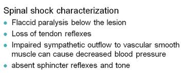 Image result for Spinal Shock