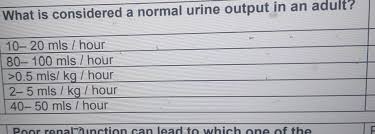 Image result for Urine Output