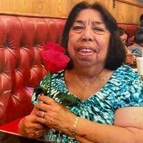 Maria D. Medrano Obituary
