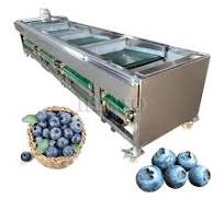China Supplier Fruit Washing Machine/Strawberry Cleaning /Blueberry Cleaning Machine