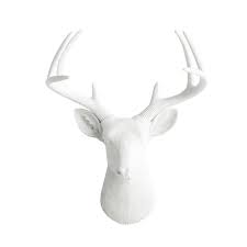 The board grants permission to copy the information provided on this part of its web site for the limited purpose of maintaining a record of physician credentials or for the evaluation of physician qualifications. Vintage Artificial Faux White Moose Head Wall Mounted Deer Head With Antlers Buy Artificial Moose Head White Deer Head Vintage Wall Decoration Product On Alibaba Com