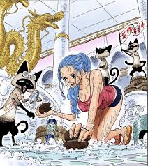 Why is Vivi cleaning the bathroom in her own palace? : rOnePiece
