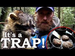 So, can humans really eat cat food? Would You Eat A Raccoon Burger Life At The Cabin In The Woods Youtube