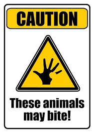 Pin By Linda Steele On Zoo Pet Signs Dangerous Animals Venomous Animals