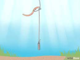Rodney marquez explains his halibut tips. How To Fish A Drop Shot Rig 12 Steps With Pictures Wikihow