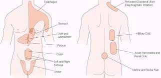 Pin On Health