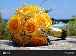 Yellow roses are most rose colors that have meaning, and yellow roses generally symbolize friendship. Yellow Roses Bridal Image Photo Free Trial Bigstock