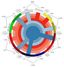 Neuroscience Of Acupuncture Unusual Acupuncture Diagrams Chart