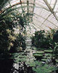 Dark Academia Botanic Academia Dark academia visually stems from european cultures, as with. dark academia botanic academia