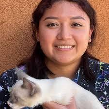 About Our Cat Shelter