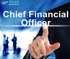 Pegasi Media Group Provides You The Prepackaged As Well As Customized Chief Financial Officer Cfo Email Lis Chief Financial Officer Cfo Business Requirements