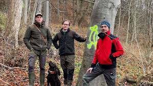 Fällen für den Waldumbau: So soll der Atteler Hang gesichert werden