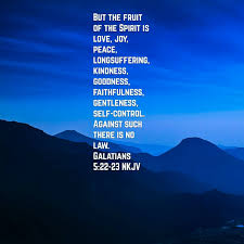 Fruits Of The Spirit Fruit Of The Spirit Nkjv Spirit