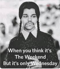 images?q=tbn:ANd9GcRGpyiuoB_HwtpcFzjLv_s