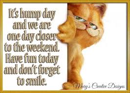 These 55 funny words of wisdom help you to success in life. Happy Wednesday Wednesday Humor Good Morning Happy Thursday Wednesday Quotes
