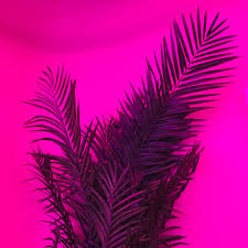 Baddie is an aesthetic primarily associated with instagram and beauty gurus on youtube that is centered around being conventionally attractive by today's beauty standards. Magenta Aesthetic Tumblr