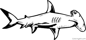 Hammerhead shark coloring page color online. Realistic Hammerhead Shark Coloring Page Coloringall