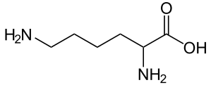 Since these microorganisms are commonly present in the environment, biogenic amines can be contained in foods and beverages. Biogene Amine Wikipedia