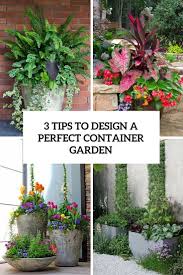 3 Tips To Design Your Perfect Container Garden Gardenoholic Container Garden Design Container Gardening Diy Container Gardening
