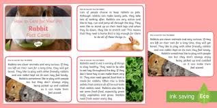 However, these animals will need to have as much care as a dog or a cat. How To Care For Your Pet Rabbit Fact Cards Teacher Made