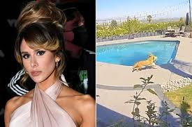 Tommy Lees Wife Brittany Furlan Saves Their Dog from Coyote Attack: Watch!